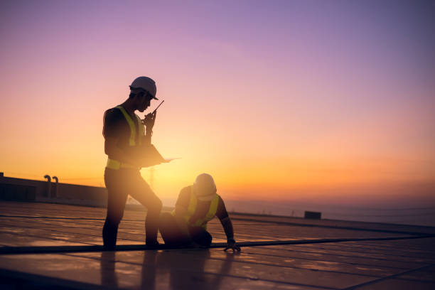 Best Flat Roof Repair Services  in River Grove, IL